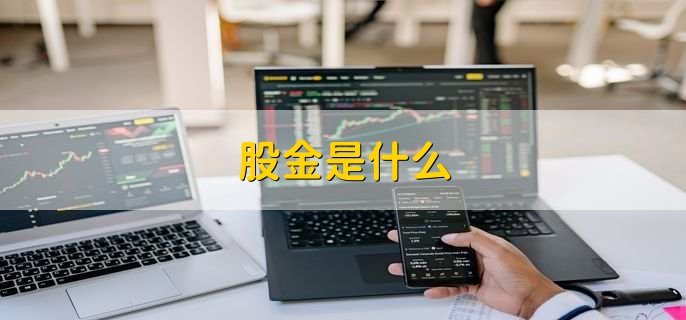 股金是什么