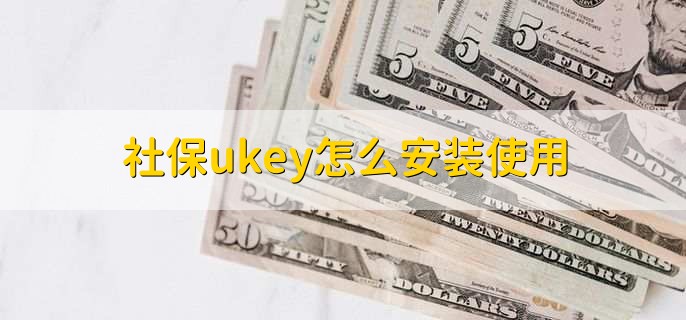 社保ukey怎么安装使用