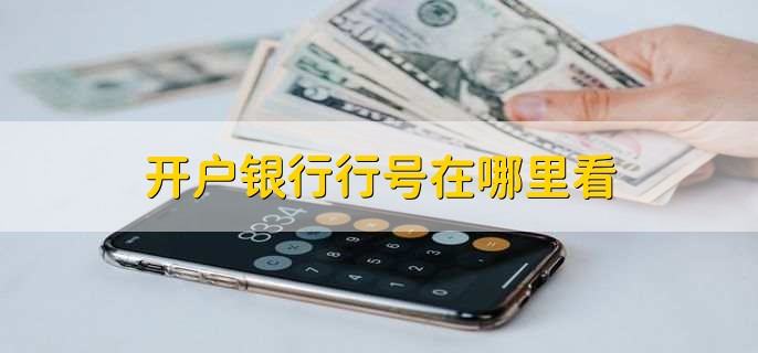 開戶銀行行號(hào)在哪里看