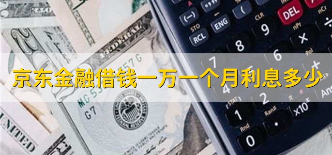 京东金融借钱一万一个月利息多少