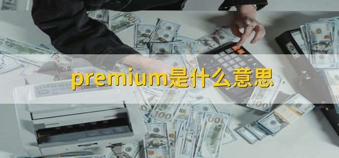 premium是什么意思