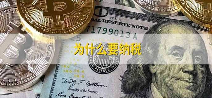 為什么要納稅