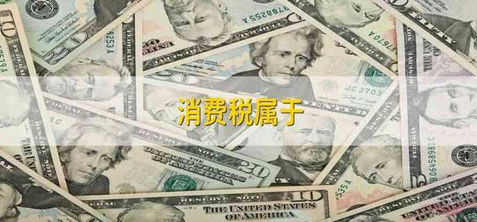 消費(fèi)稅屬于
