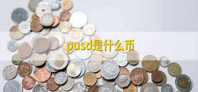 pusd是什么币