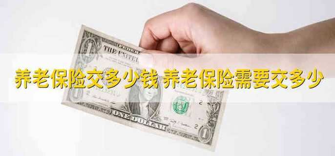 養(yǎng)老保險交多少錢