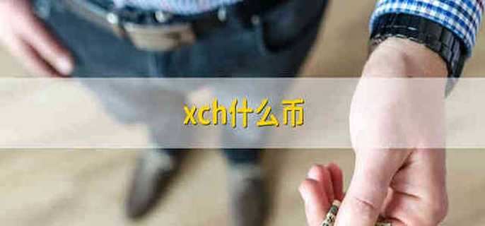 xch什么幣