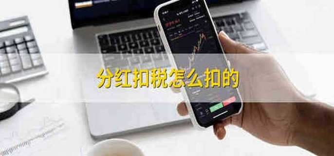 分紅扣稅怎么扣的