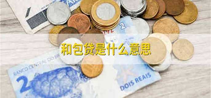 和包貸是什么意思