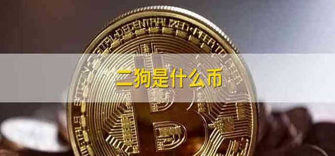 二狗是什么幣