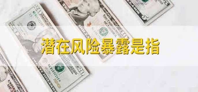潛在風(fēng)險(xiǎn)暴露是指