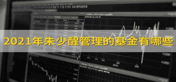 2021年朱少醒管理的基金有哪些