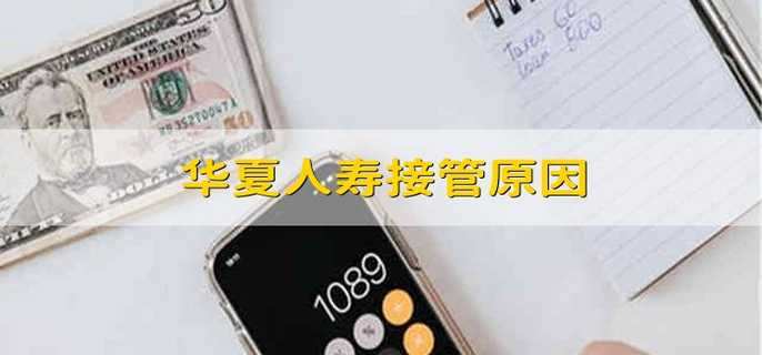 華夏人壽接管原因