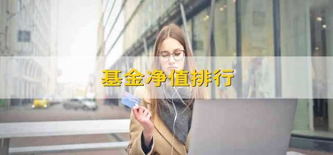 基金凈值排行