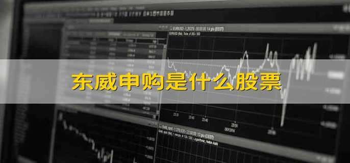 东威申购是什么股票