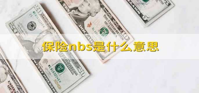 保险nbs是什么意思(WBS和、NBS、OBS、MBS分别代表什么意思?)