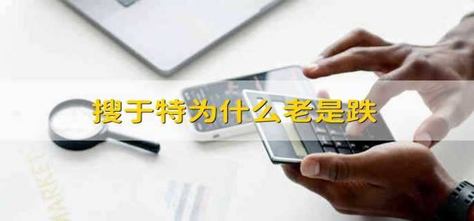 搜于特為什么老是跌