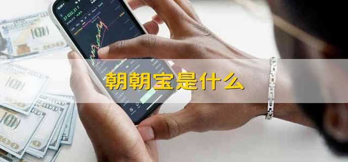 朝朝寶是什么