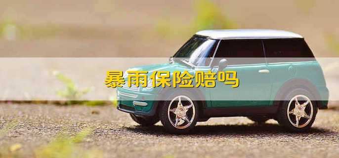 暴雨保險賠嗎