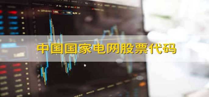 中国国家电网股票代码