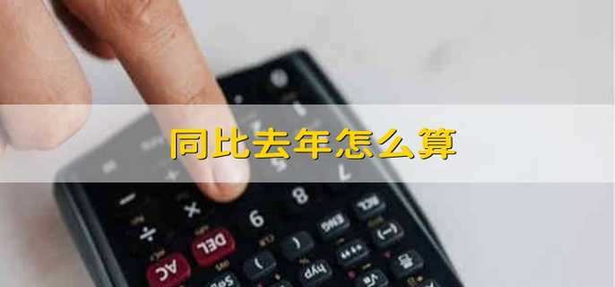 同比去年怎么算