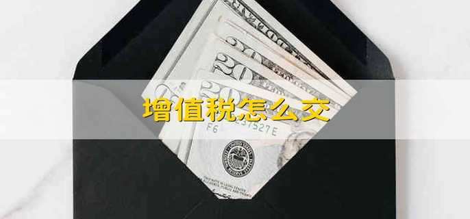 增值稅怎么交