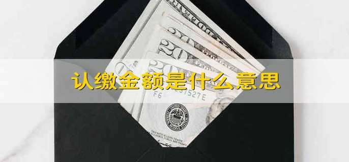 認(rèn)繳金額是什么意思
