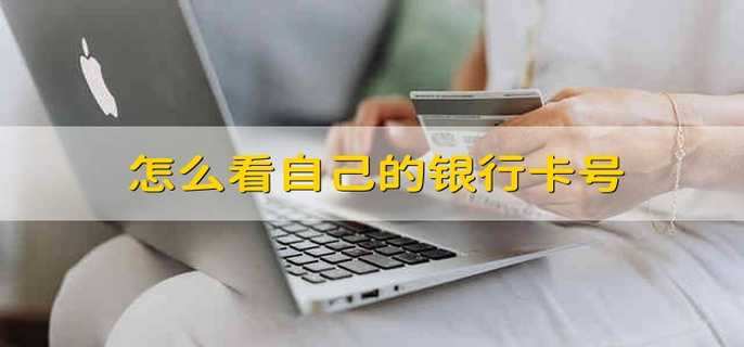 怎么看自己的銀行卡號