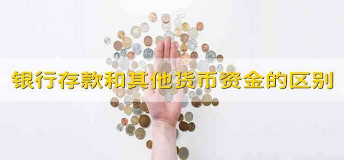 銀行存款和其他貨幣資金的區別