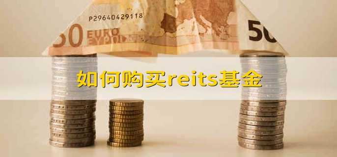 如何購買reits基金