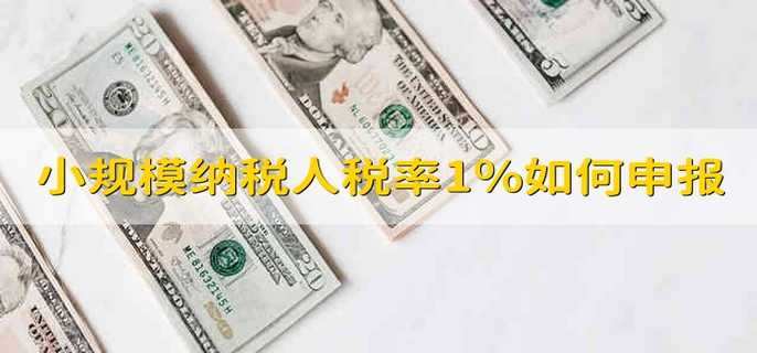 小规模纳税人税率1%如何申报 小规模纳税人的税率是1%怎么申报