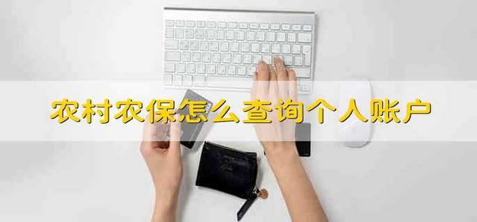 农村农保怎么查询个人账户(农村社保网上怎么查询)