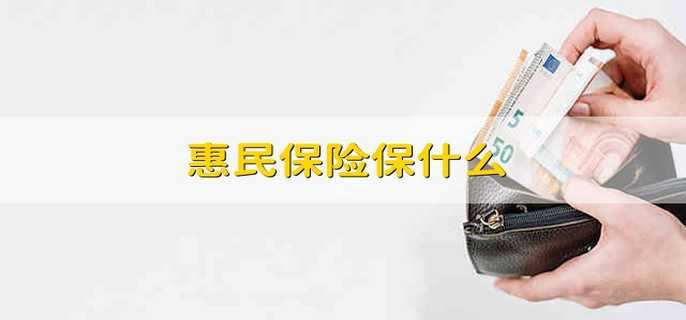 惠民保險保什么