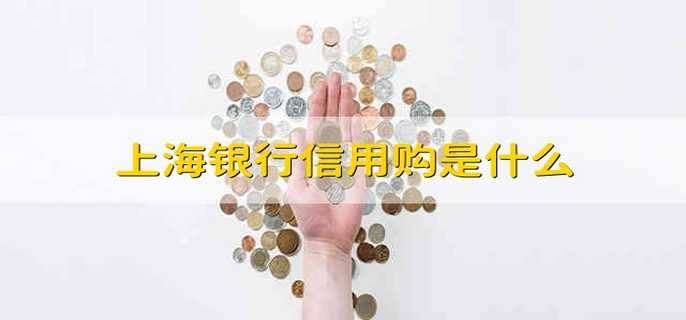 上海银行信用购是什么