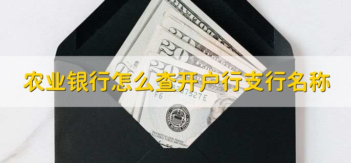 农业银行怎么查开户行支行名称，有三种方式