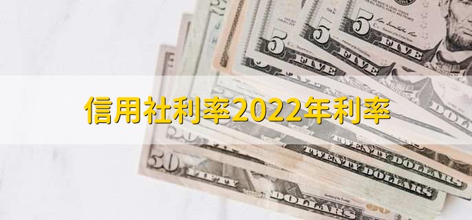 信用社利率2022年利率，有以下两大类型利率详情