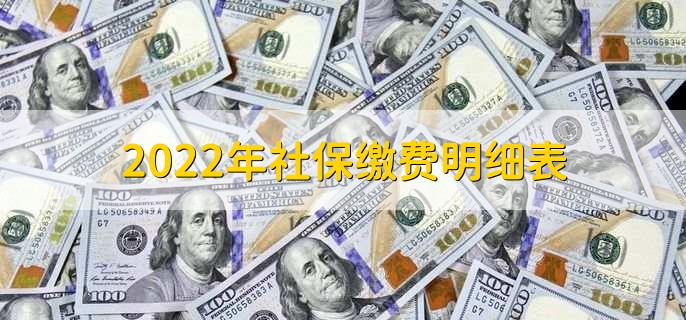 2022年社保缴费明细表，有以下四种