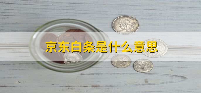 京东白条是什么意思，京东金融发布的支付方式