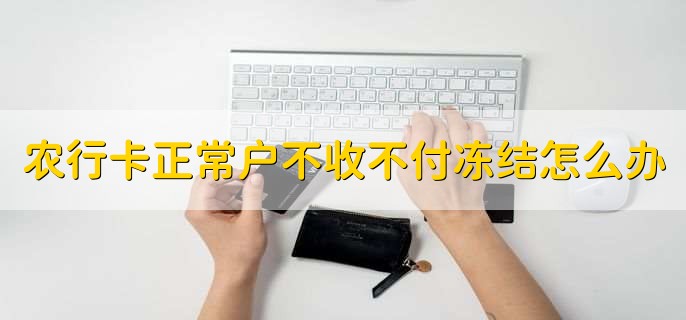 农行卡正常户不收不付冻结怎么办，有以下两种方法