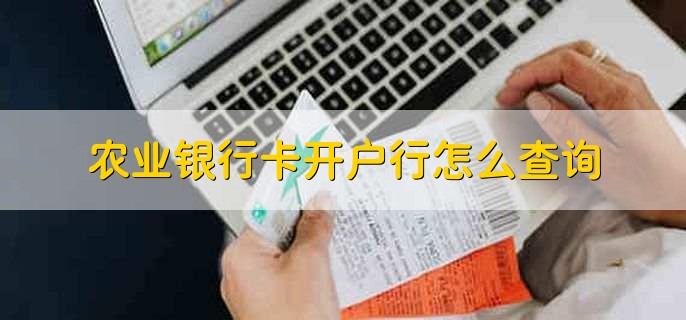 农业银行卡开户行怎么查询，分以下四点