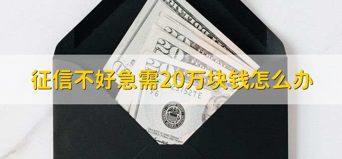 征信不好急需20万块钱怎么办，去不查征信的平台或去民间借款