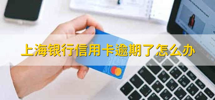 上海银行信用卡逾期了怎么办，及时还款