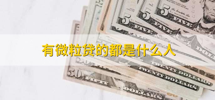 有微粒貸的都是什么人