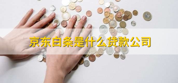 京東白條是什么貸款公司