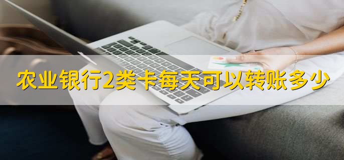 农业银行2类卡每天可以转账多少