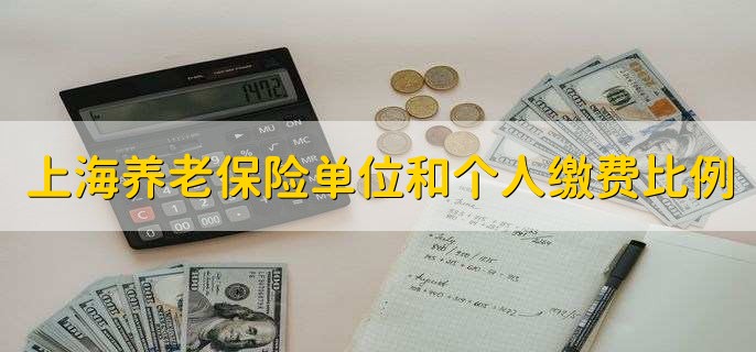上海养老保险单位和个人缴费比例