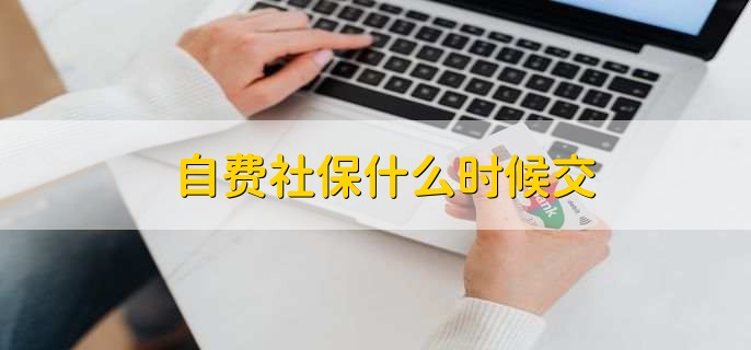 自费社保什么时候交