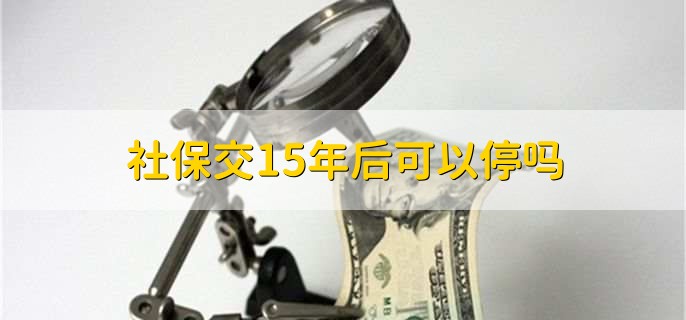 公司保险一般每月几号交，每月19号前