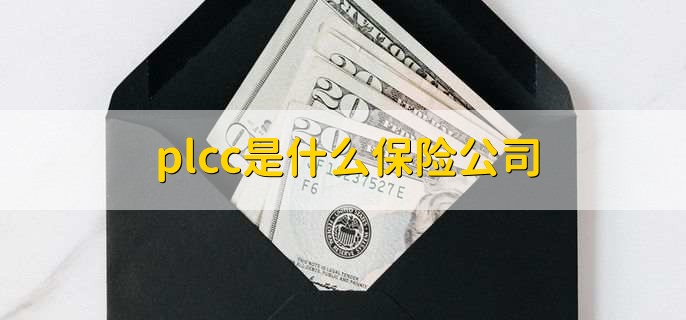 plcc是什么保险公司，中国人民保险集团股份有限公司