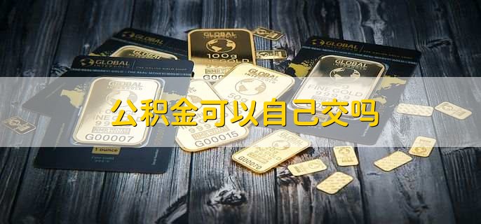 公积金可以自己交吗