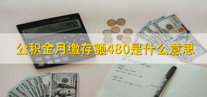 公积金月缴存额480是什么意思，公积金账户转入了480人民币